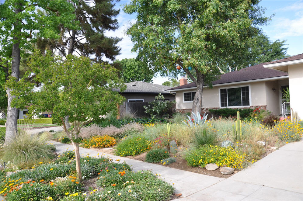 Mediterranean Blend Garden