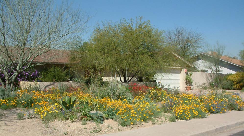 Contentment Garden