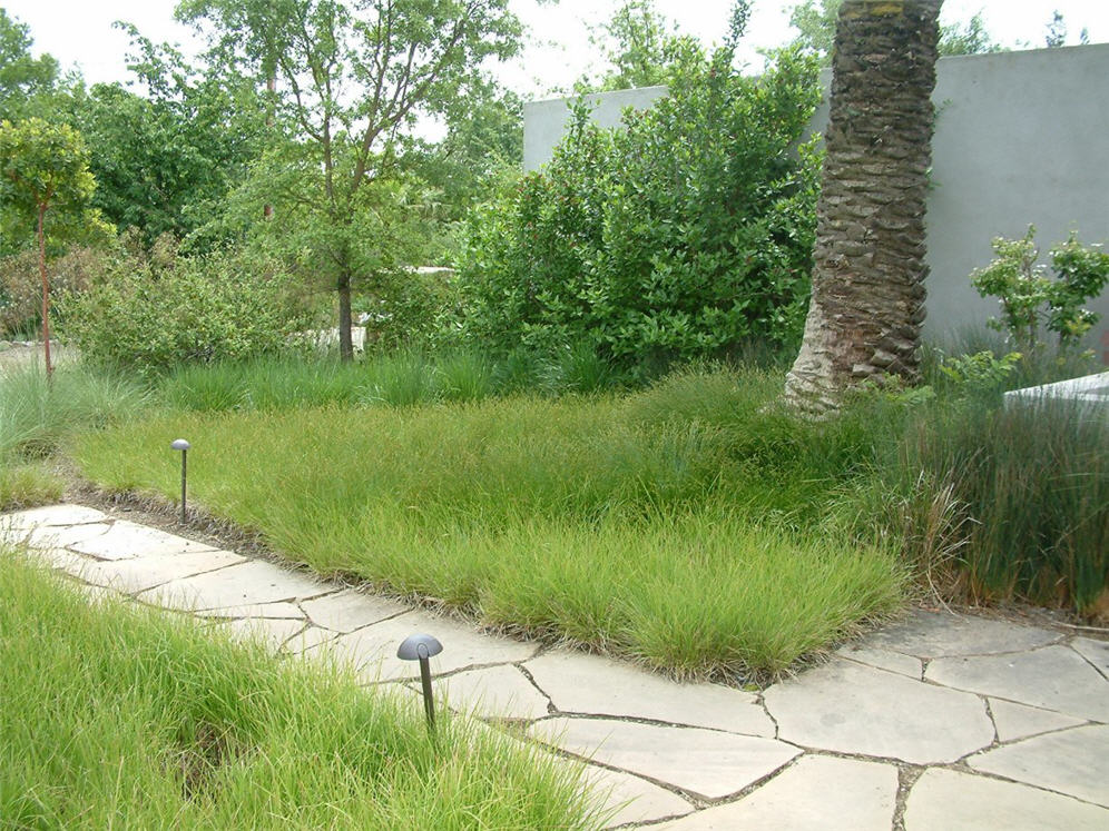 Meadow Entry One