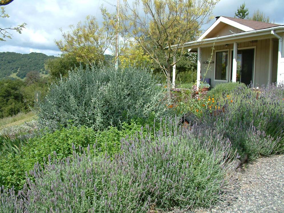 Lewis Cottage