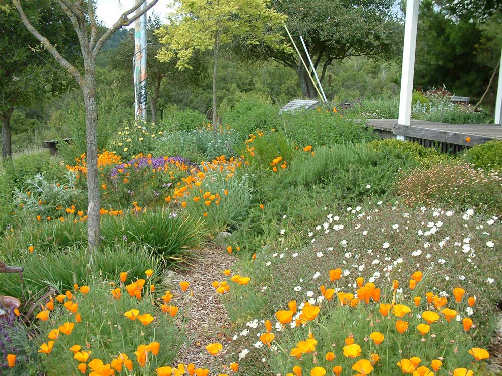 Springtime Garden