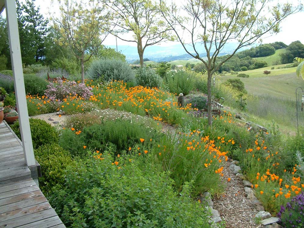 Lewis Deck View