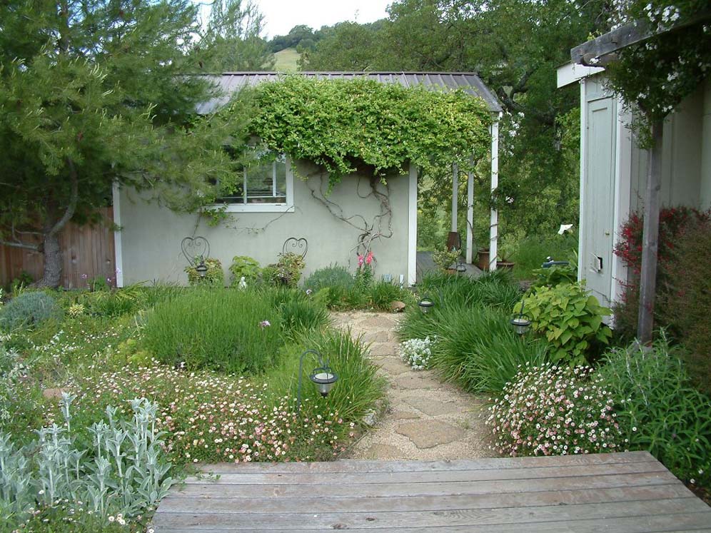 Robin's Courtyard Garden
