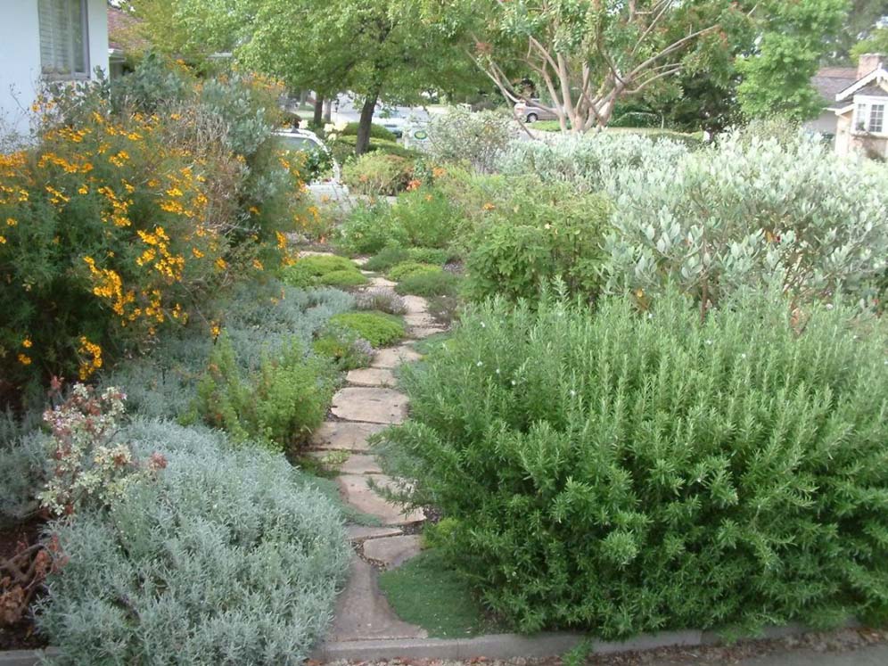 Dense Foliage Garden