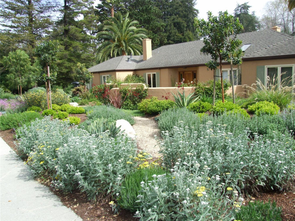 Flower Meadows Garden